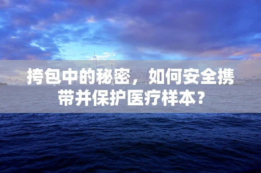 挎包中的秘密，如何安全携带并保护医疗样本？