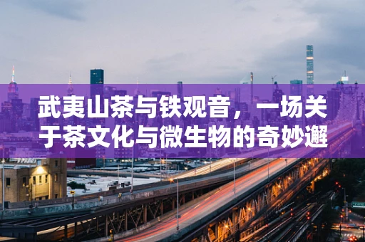 武夷山茶与铁观音，一场关于茶文化与微生物的奇妙邂逅