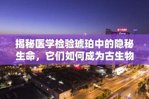 揭秘医学检验琥珀中的隐秘生命，它们如何成为古生物的化石？