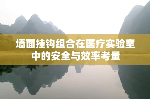 墙面挂钩组合在医疗实验室中的安全与效率考量