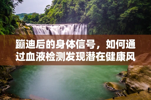 蹦迪后的身体信号，如何通过血液检测发现潜在健康风险？