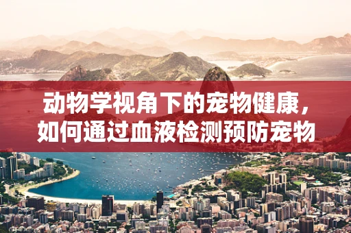 动物学视角下的宠物健康，如何通过血液检测预防宠物传染病？