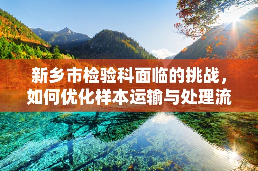 新乡市检验科面临的挑战，如何优化样本运输与处理流程？