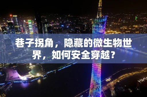 巷子拐角，隐藏的微生物世界，如何安全穿越？