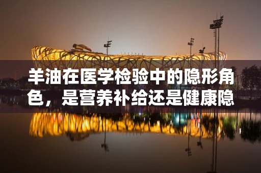 羊油在医学检验中的隐形角色，是营养补给还是健康隐患？