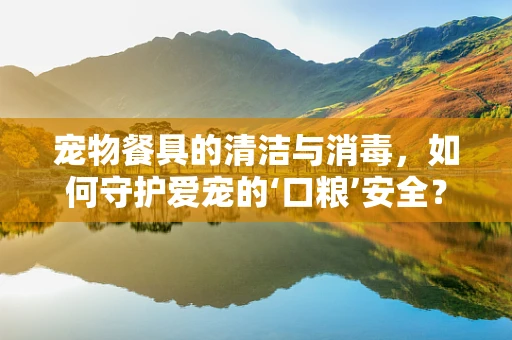 宠物餐具的清洁与消毒，如何守护爱宠的‘口粮’安全？