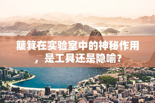 簸箕在实验室中的神秘作用，是工具还是隐喻？