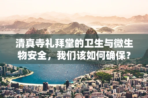 清真寺礼拜堂的卫生与微生物安全，我们该如何确保？