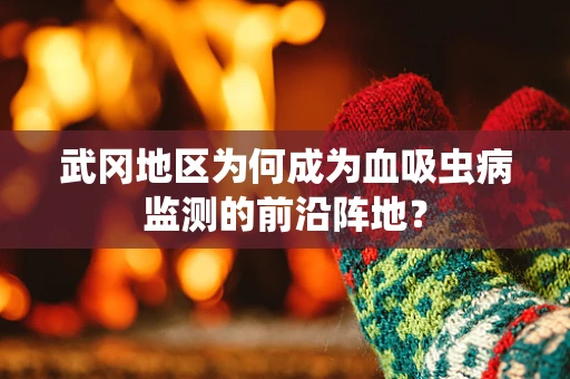 武冈地区为何成为血吸虫病监测的前沿阵地？