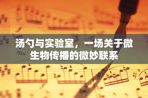 汤勺与实验室，一场关于微生物传播的微妙联系