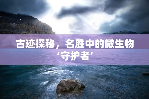 古迹探秘，名胜中的微生物‘守护者’