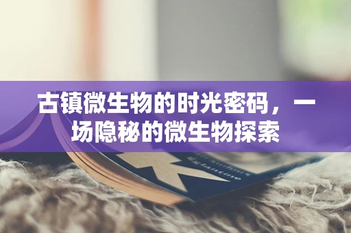古镇微生物的时光密码，一场隐秘的微生物探索