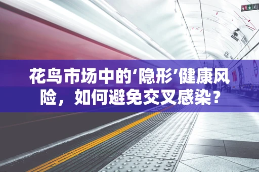 花鸟市场中的‘隐形’健康风险，如何避免交叉感染？