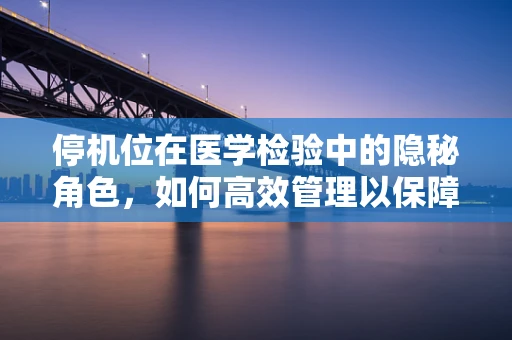 停机位在医学检验中的隐秘角色，如何高效管理以保障检测质量？