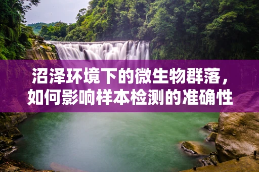 沼泽环境下的微生物群落，如何影响样本检测的准确性？