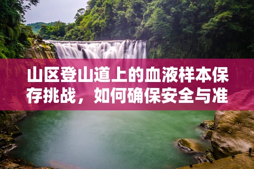 山区登山道上的血液样本保存挑战，如何确保安全与准确？