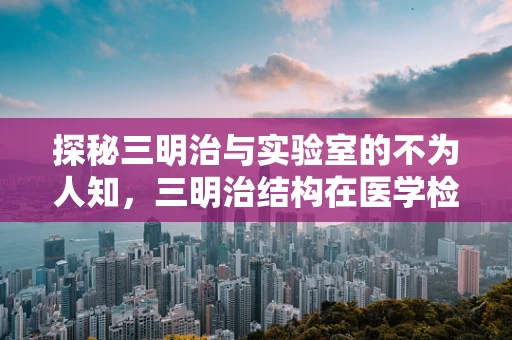 探秘三明治与实验室的不为人知，三明治结构在医学检测中的奇妙应用？