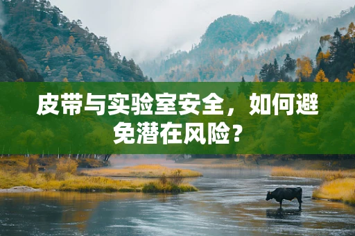 皮带与实验室安全，如何避免潜在风险？