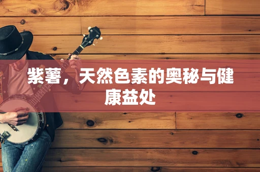 紫薯，天然色素的奥秘与健康益处