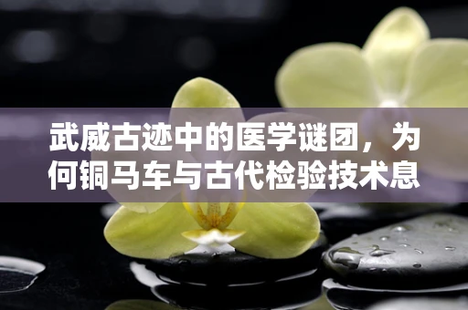 武威古迹中的医学谜团，为何铜马车与古代检验技术息息相关？