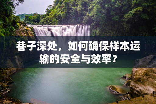 巷子深处，如何确保样本运输的安全与效率？