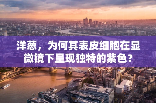 洋葱，为何其表皮细胞在显微镜下呈现独特的紫色？