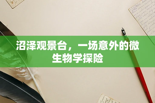 沼泽观景台，一场意外的微生物学探险