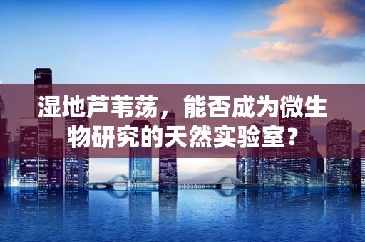 湿地芦苇荡，能否成为微生物研究的天然实验室？