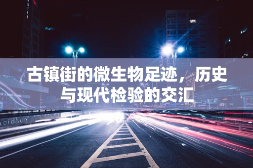 古镇街的微生物足迹，历史与现代检验的交汇