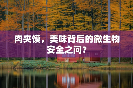 肉夹馍，美味背后的微生物安全之问？