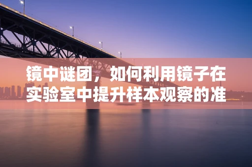镜中谜团，如何利用镜子在实验室中提升样本观察的准确性？