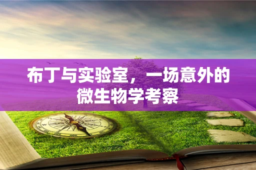 布丁与实验室，一场意外的微生物学考察