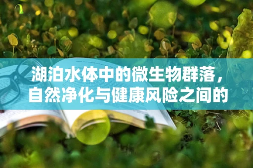 湖泊水体中的微生物群落，自然净化与健康风险之间的微妙平衡？