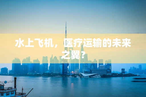 水上飞机，医疗运输的未来之翼？
