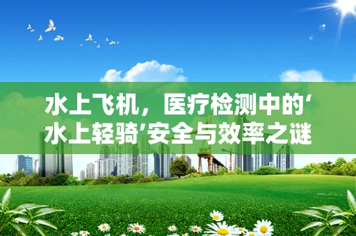 水上飞机，医疗检测中的‘水上轻骑’安全与效率之谜