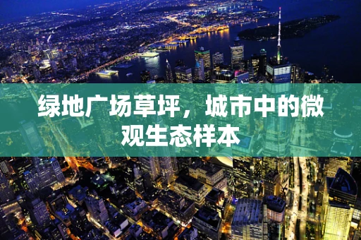 绿地广场草坪，城市中的微观生态样本