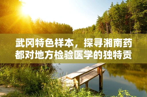 武冈特色样本，探寻湘南药都对地方检验医学的独特贡献