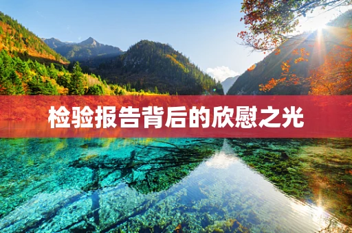 检验报告背后的欣慰之光