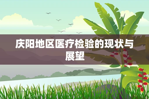 庆阳地区医疗检验的现状与展望