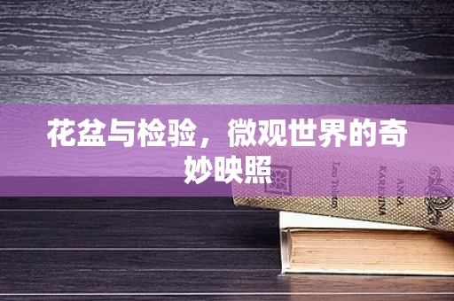 花盆与检验，微观世界的奇妙映照