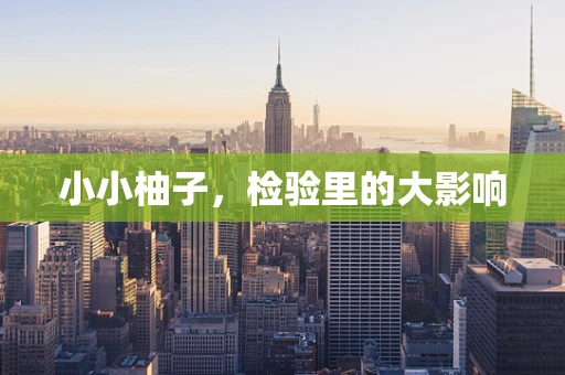 小小柚子，检验里的大影响