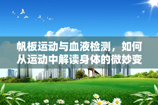 帆板运动与血液检测，如何从运动中解读身体的微妙变化？