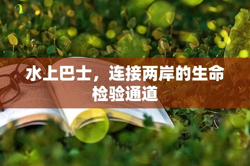 水上巴士，连接两岸的生命检验通道