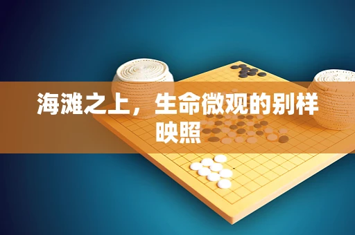 海滩之上，生命微观的别样映照