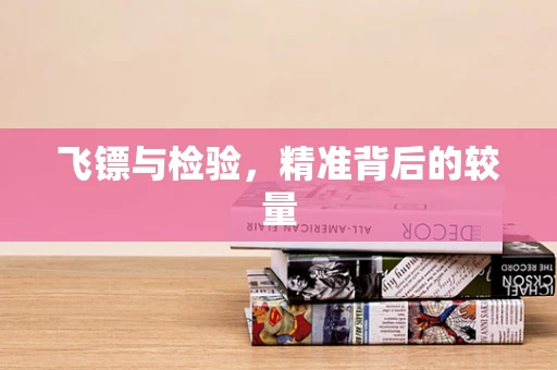 飞镖与检验，精准背后的较量