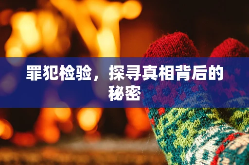 罪犯检验，探寻真相背后的秘密
