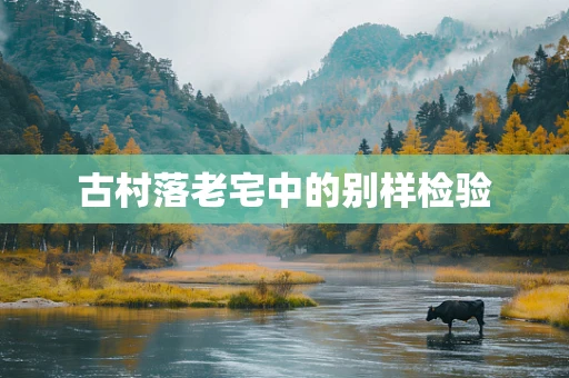 古村落老宅中的别样检验