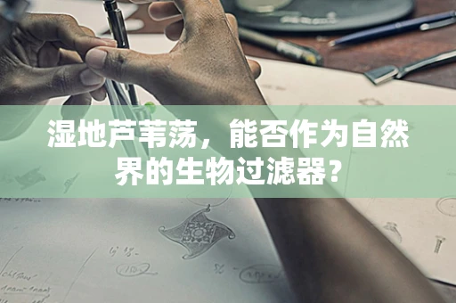湿地芦苇荡，能否作为自然界的生物过滤器？