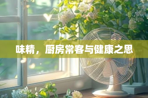 味精，厨房常客与健康之思