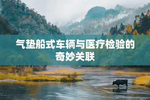 气垫船式车辆与医疗检验的奇妙关联